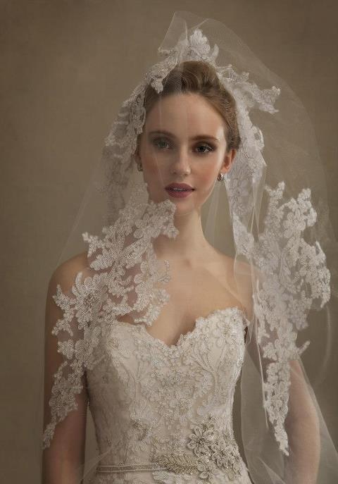 Wedding - Transparent white wedding veil with floral laces