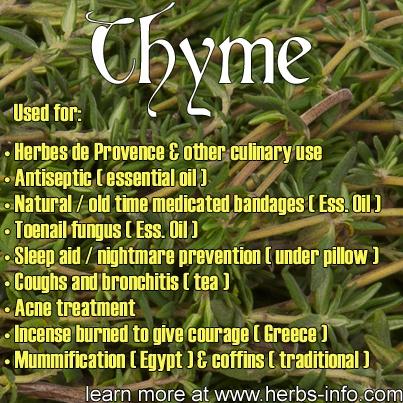 زفاف - ❤ Herb Of The Day: Thyme ❤ 