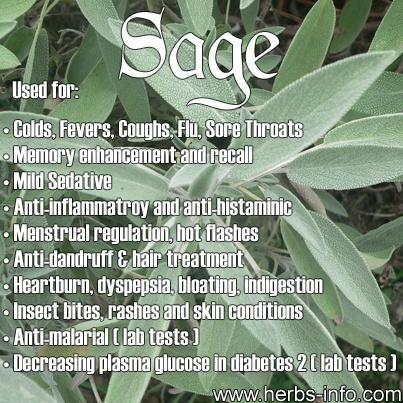 زفاف - ❤ Herb Of The Day: Sage ❤ 