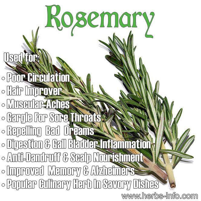 زفاف - ❤ Herb Of The Day: Rosemary ❤ 