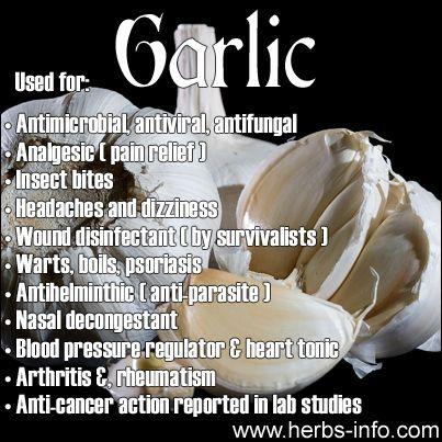 زفاف - ❤ Herb Of The Day: Garlic ❤ 