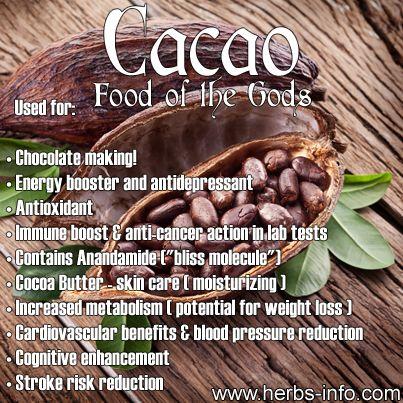Hochzeit - ❤ Uses And Health Benefits Of Cacao ❤ 