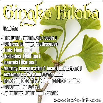 Hochzeit - Gingko Uses And Benefits 