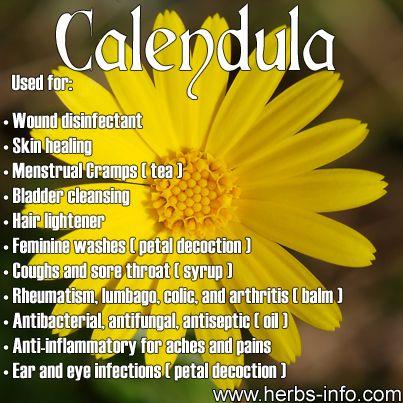 زفاف - ❤ Uses And Benefits Of Calendula ❤ 