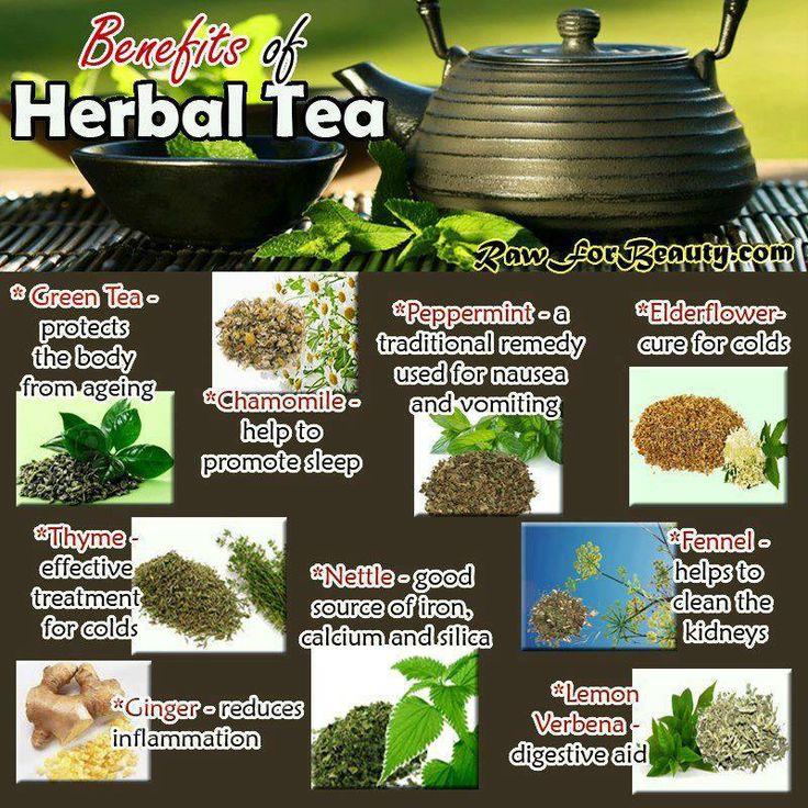 Hochzeit - Benefits Of Herbal Tea 