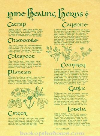 زفاف - Herbs:  Nine Healing . 