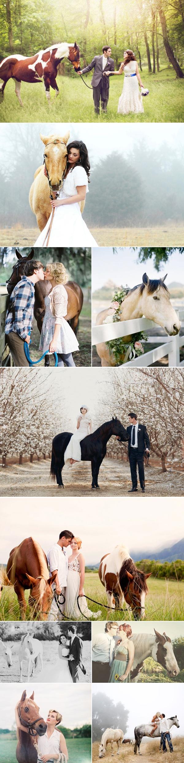Wedding - Wedding Horses 