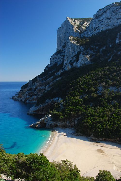Wedding - Beach Cliffs, Sardinia, Italy 