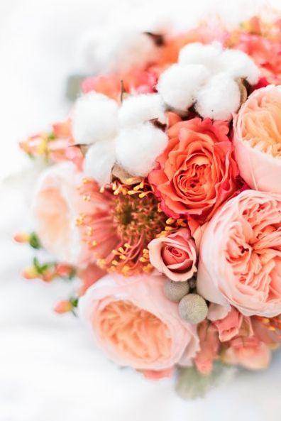 Mariage - Love The Peach Garden Roses