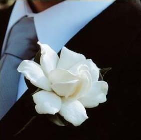 Wedding - A Single Gardenia 