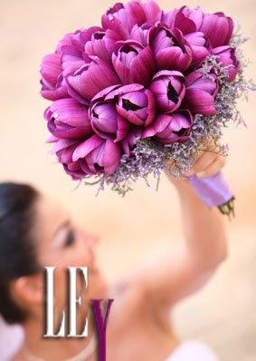 Wedding - Purple Tulips 