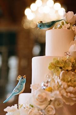 زفاف - . مع الطيور ....