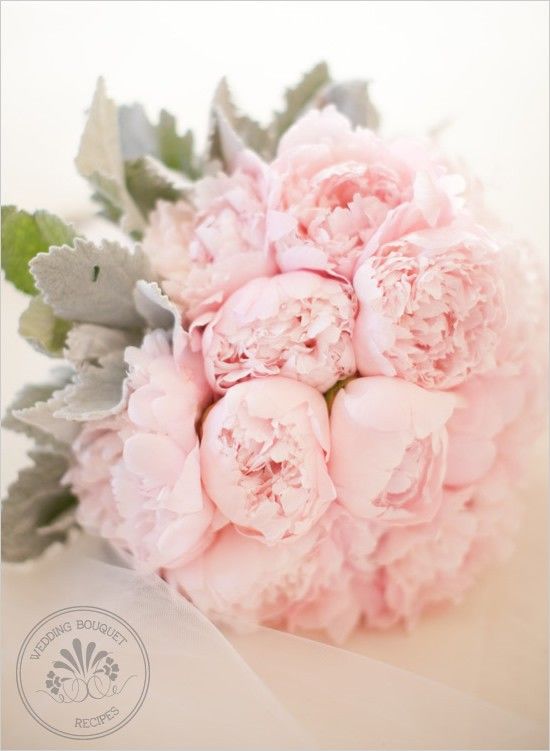 Wedding - My Favorite Flower 