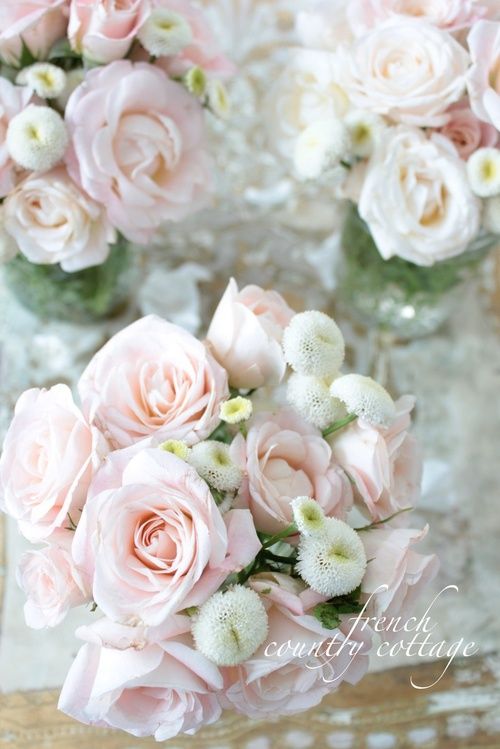 زفاف - شاحب الوردي الورود ❤