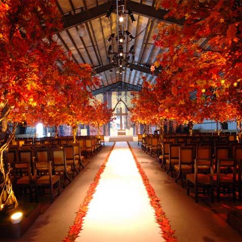 Свадьба - Красивая Свадебная Осень 