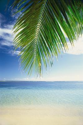 Hochzeit - Tropical Travel Ideas For January
