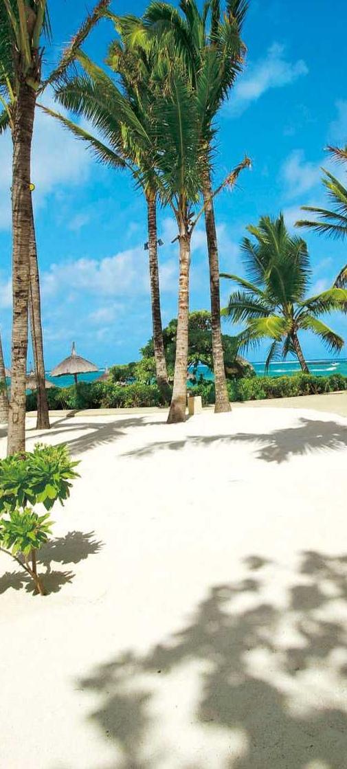 Wedding - Constance Belle Mare Plage - Mauritius 