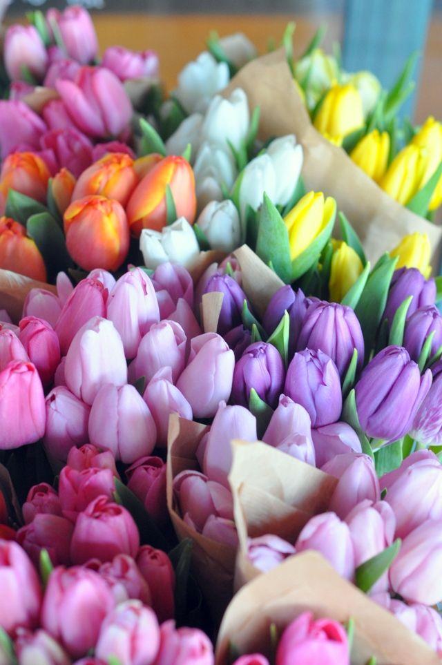 Wedding Bouquets tulips-pastelseaster