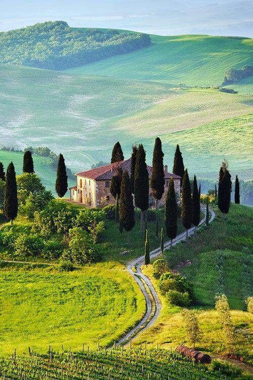 Wedding - Tuscany Region Of Italy 