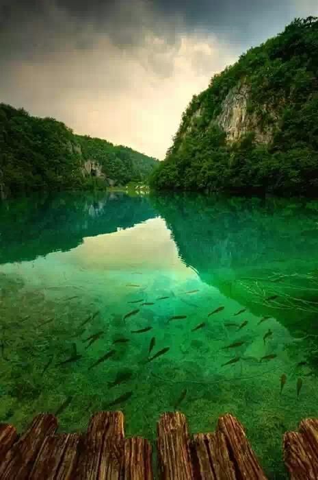 Mariage - Les lacs de Plitvice, Croatie