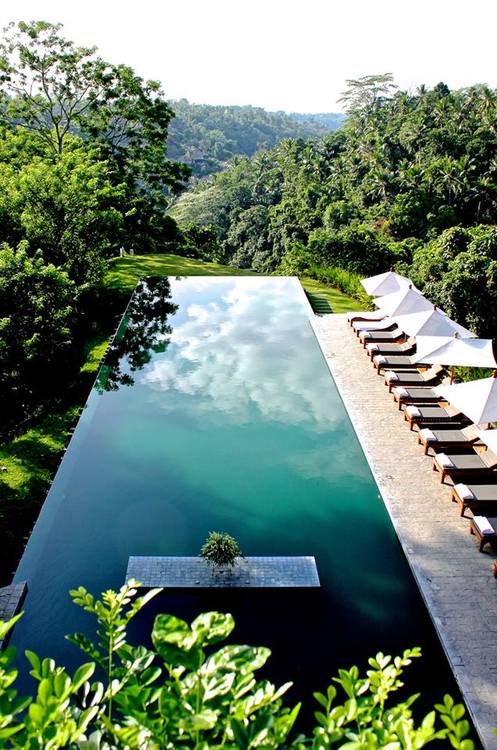 Свадьба - Пейзажный Бассейн В Отеле Alila Ubud, Bali 