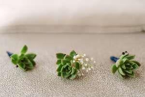 Wedding - Tiny Succulent Boutonnieres. 