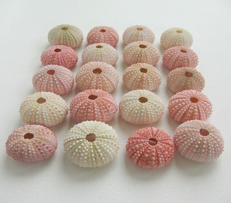 Wedding - Simple Sea Urchin Shell Place Card Holders - Pink - For Your Beach Wedding, Green Wedding, Or Eco Friendly Event. As Seen In Lucky Magazine.