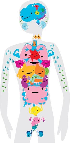 Wedding - Meet Your Organs...love This Site! 