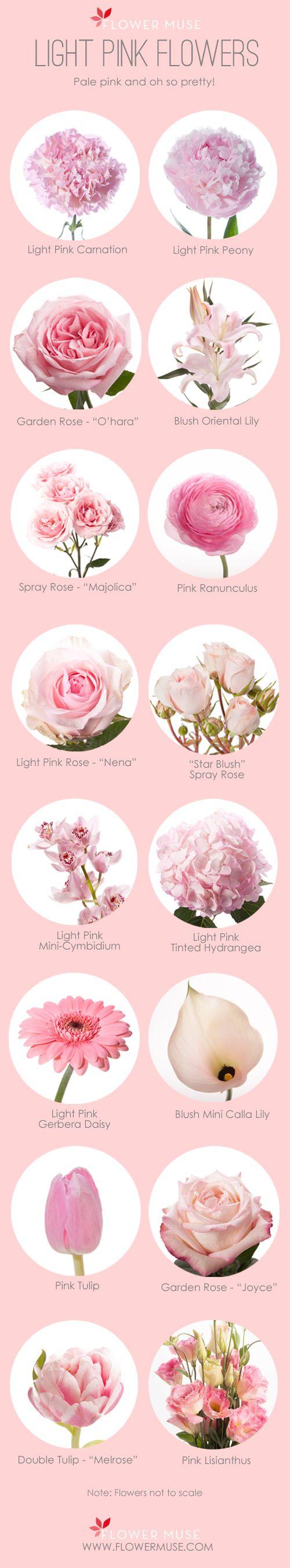 Wedding - Light Pink Flowers 