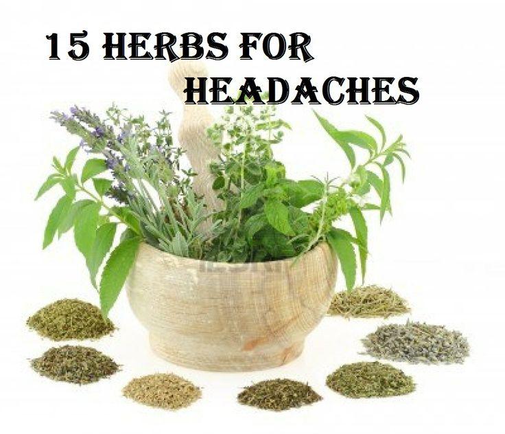 Mariage - 15 herbes pour des maux de tête
