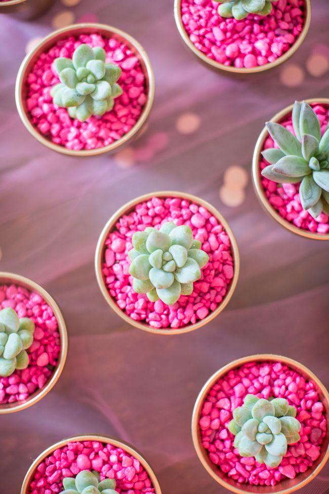 Wedding - Hot Pink Rocks For Planting Succulents 