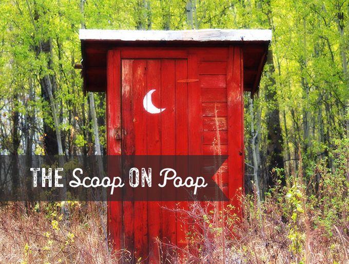 Wedding - The Scoop On Poop! 