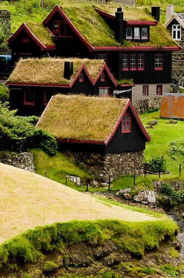 Hochzeit - Färöer-Inseln, Dänemark .. Gras Dächer