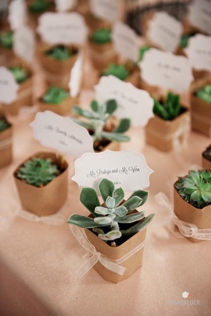 Wedding - Succulent Wedding Favors And Place Cards 