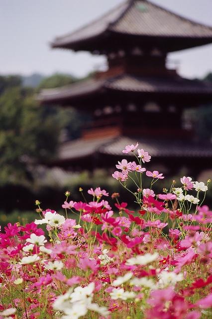 Свадьба - Hokki-ji Храм Нара, Япония 