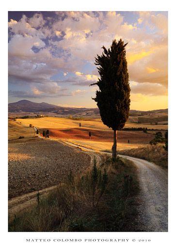 Mariage - Val d'Orcia