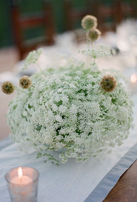 Wedding - Whimsical Queen Anne's Lace Centerpiece - The Whimsical Alternative To Baby's Breath
