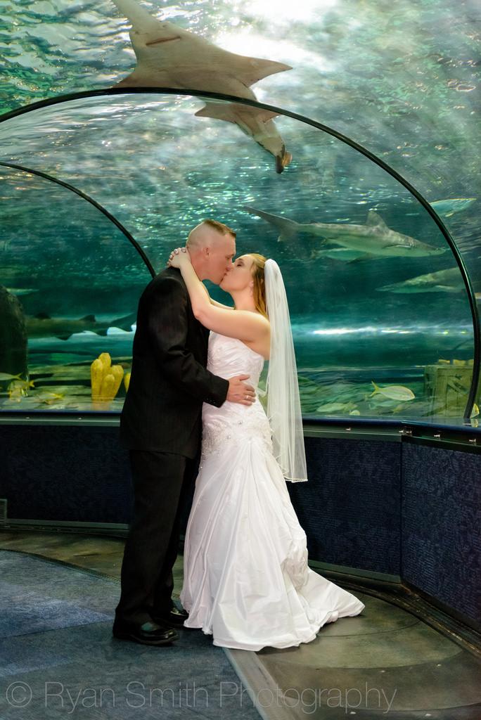 Wedding - After Ceremony Kiss At Ripley's Aquarium