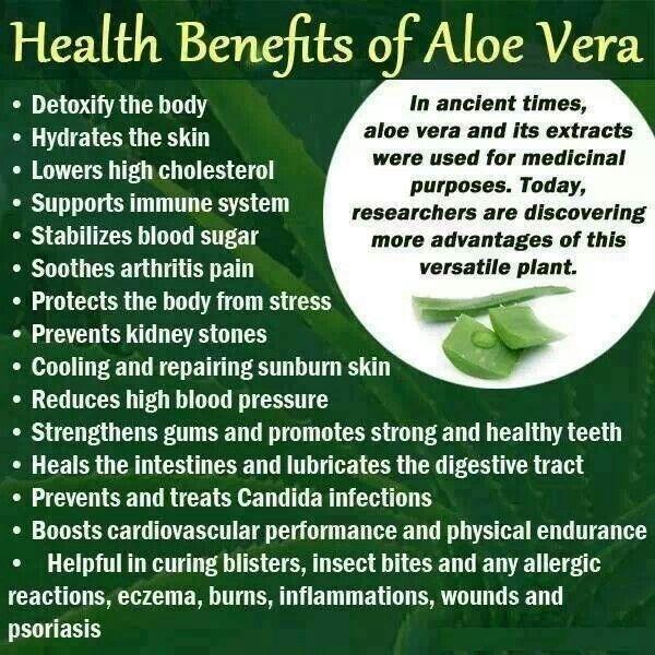 Wedding - Health Benefits Of Aloe Vera 