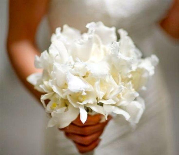 Wedding - All White 