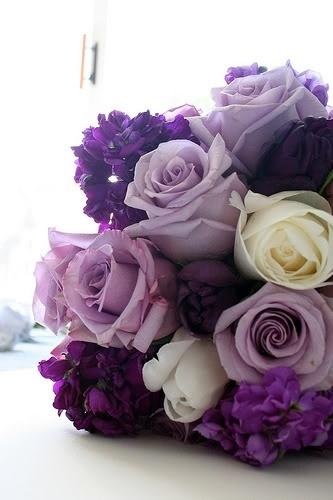 Wedding - Purple {Wedding} 