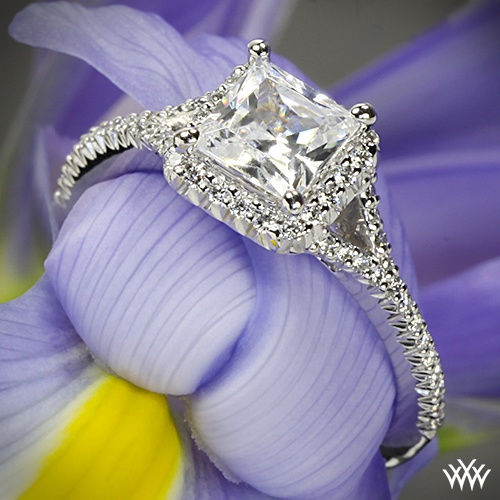Wedding - 18k White Gold Ritani Bella Vita Split Halo Diamond Engagement Ring For Princess