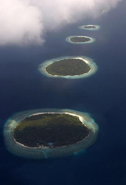 زفاف - جزر المالديف جميلة