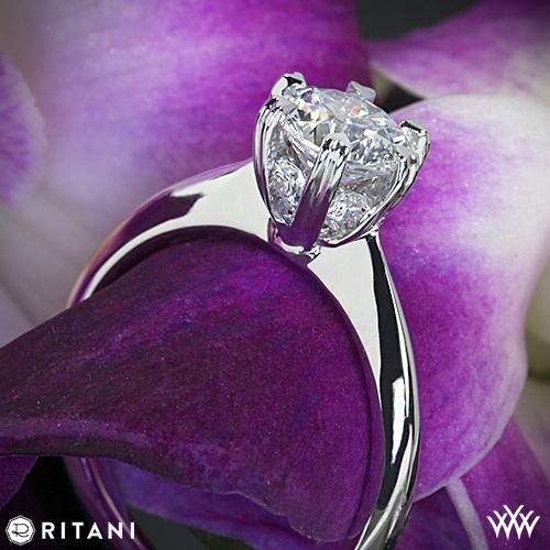 زفاف - 18K الذهب الأبيض Ritani وضع خاتم الخطوبة سوليتير
