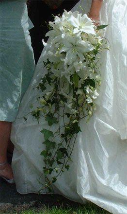 زفاف - زنبق واللبلاب تتالي