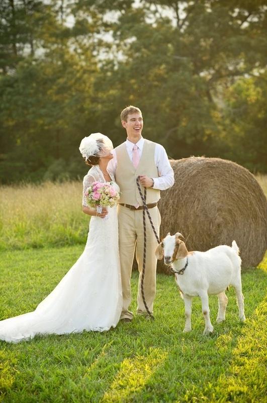 Hochzeit - Haustiere @ Ihre Hochzeit