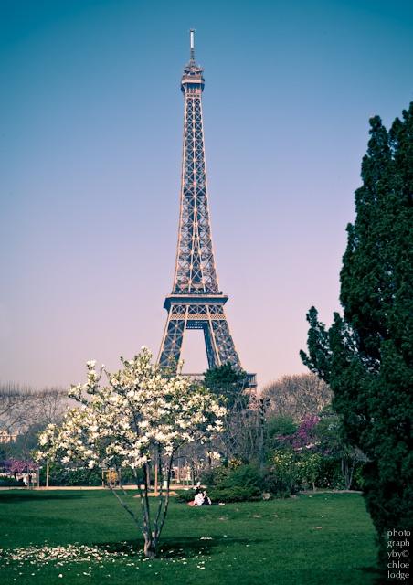 زفاف - فصل الربيع في باريس