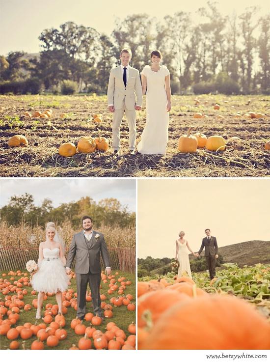 زفاف - أحب حفلات الزفاف الخريف ...