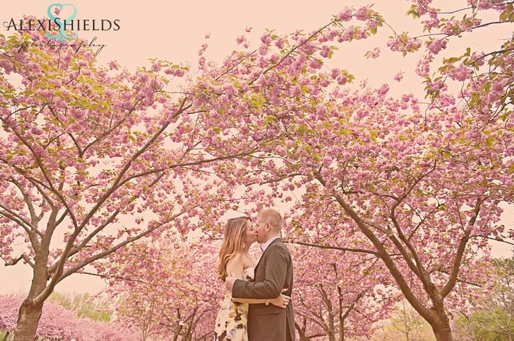 Mariage - Cherry Blossoms .... Session engagement