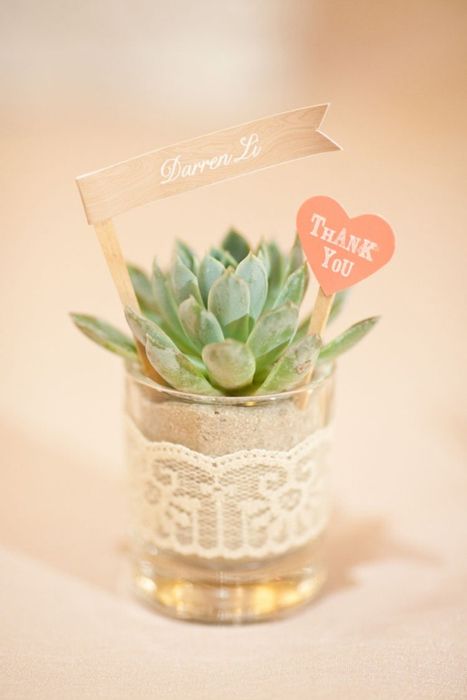 Wedding - DIY Wedding Plant Favors Are Perfect For A Green Wedding